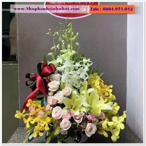 Hoa Tươi Tặng Khai Trương - OK64
